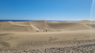 GC-Paseo Costa Canaria - Dunas 2023-066.jpg